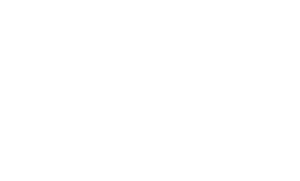 Rush Battle Arena